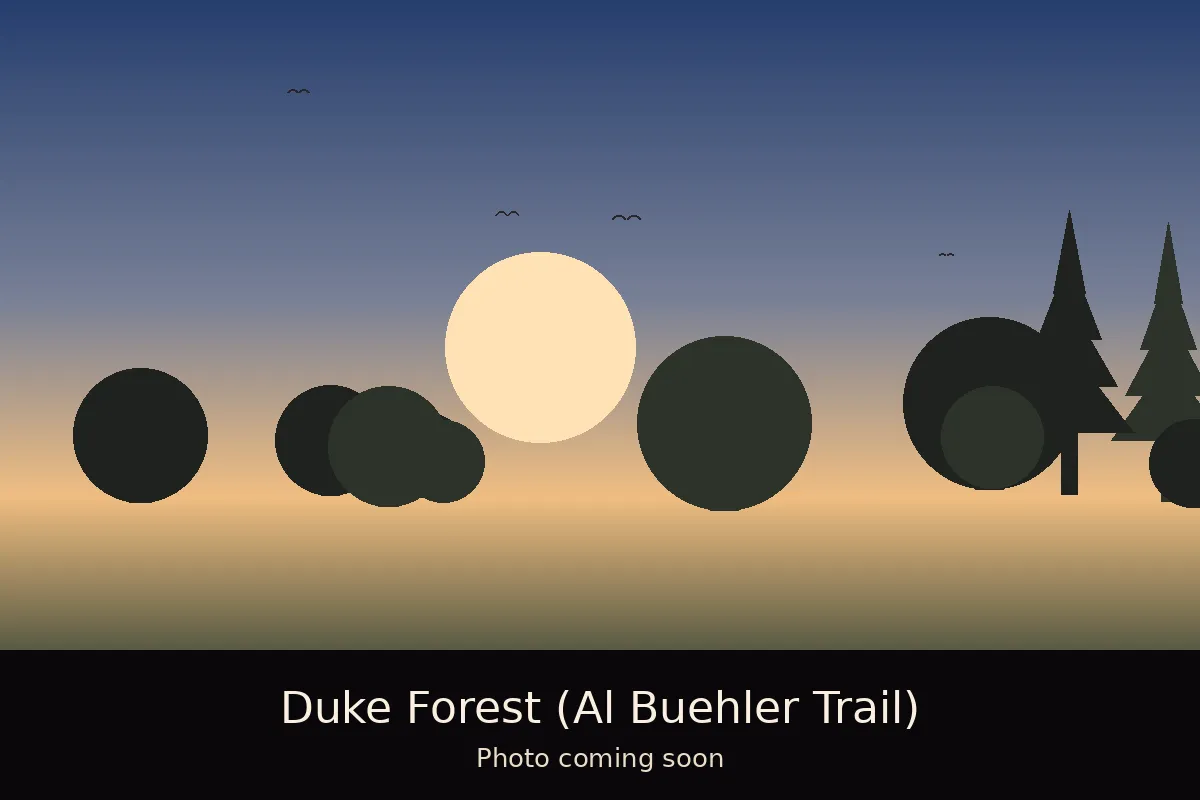 Duke Forest, Durham